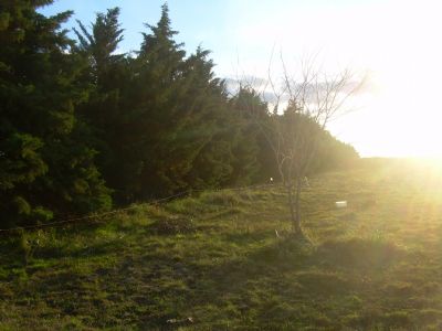 Destacada image 2