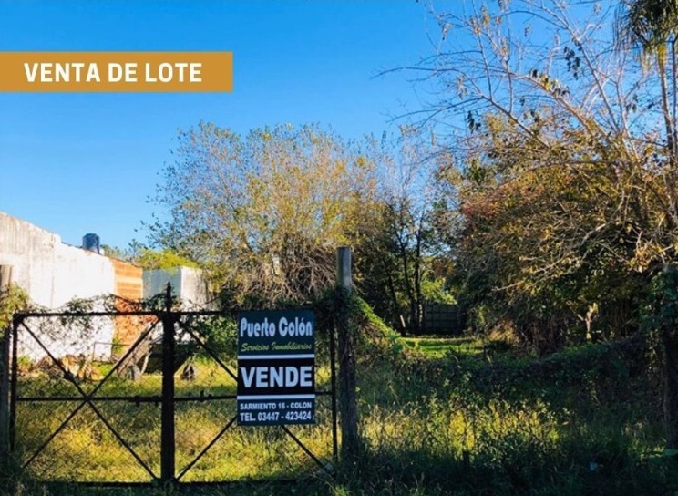 WhatsApp Image 2026-03-18 at 12.10.41